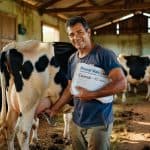 Produtor rural sorrindo ao lado de vaca leiteira em estábulo, segurando documentos sobre expansão pecuária familiar